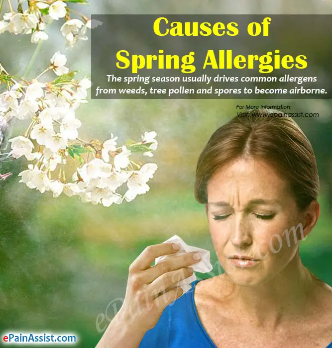 Making Your Home Comfortable during Spring Allergies